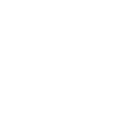bushmills logo white